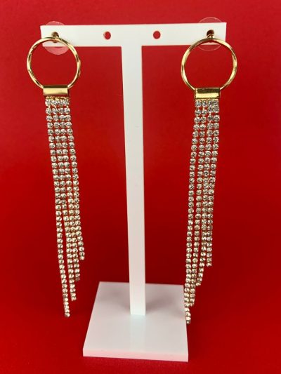 Aros Radiantes – Pendientes largos con aro